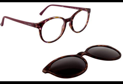 Juno Flower / Mallow