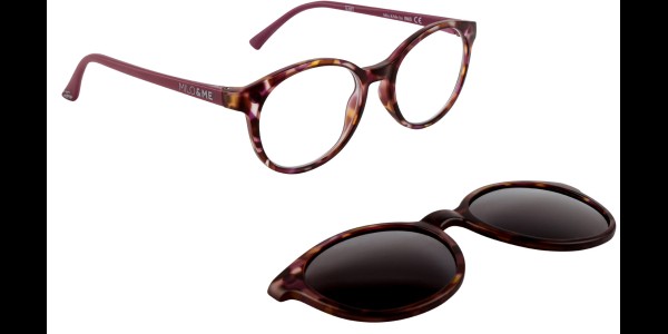 Juno Flower / Mallow