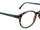 Juno Forest / Dark Green