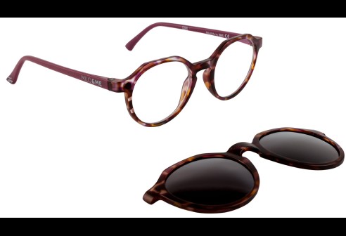 Billie Flower / Mallow